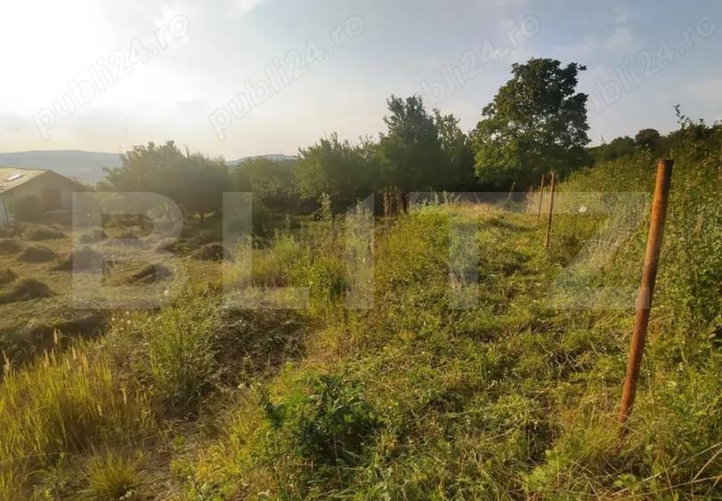 Teren Construcții intravilan de 1514 mp, în Ștefan cel Mare