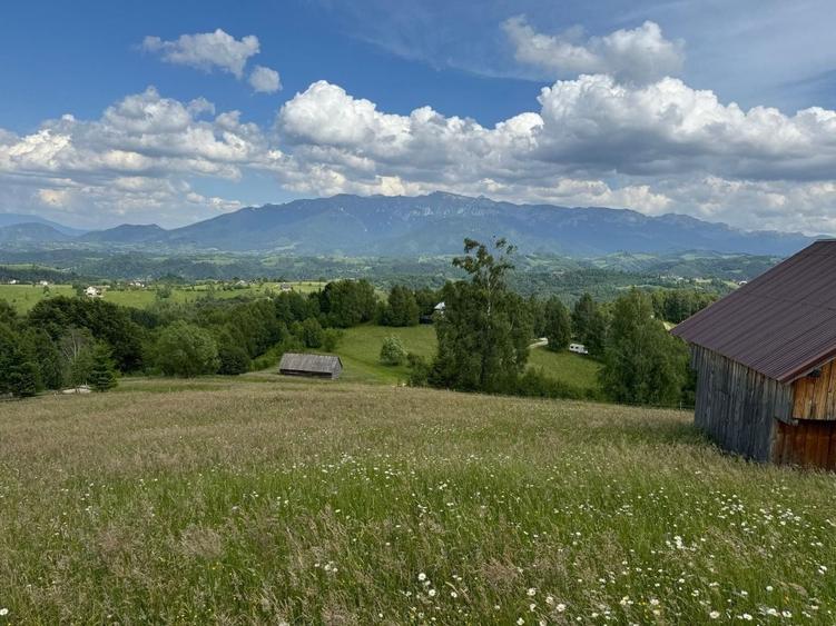 Teren Construcții extravilan de 5392 mp, în Peștera
