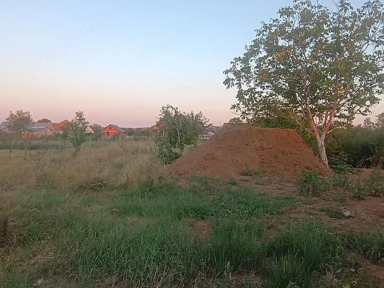 Casă cu Teren 1439 Mp în Alioș