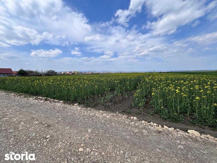 Teren de 3700 mp, în Călărași