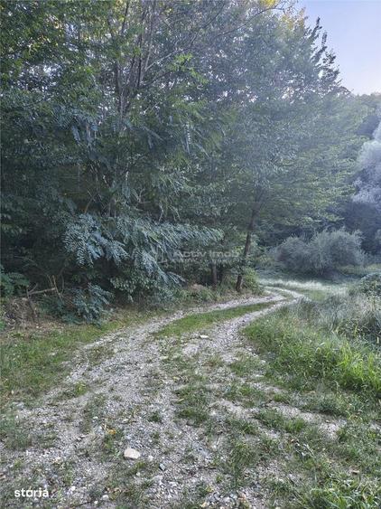 Teren intravilan de vanzare in padure Cisnadioara - 2
