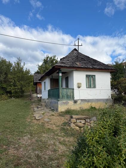 Casă cu 2 camere în Sălătrucel