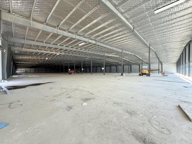 Spațiu industrial, de 16,000 mp, în Afumați