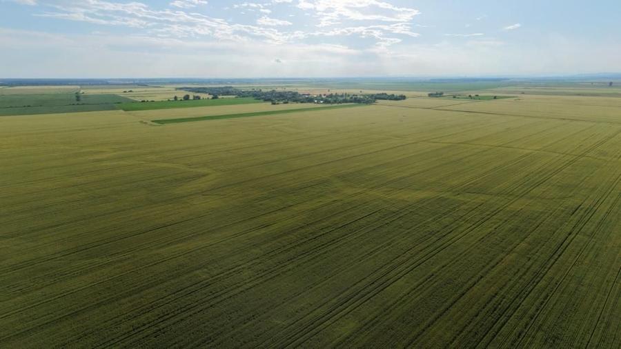 Teren agricol extravilan de 41225 mp, în Dumbrava
