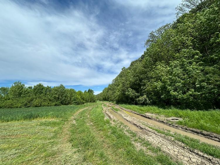 Teren Construcții intravilan de 500 mp, în Clinceni
