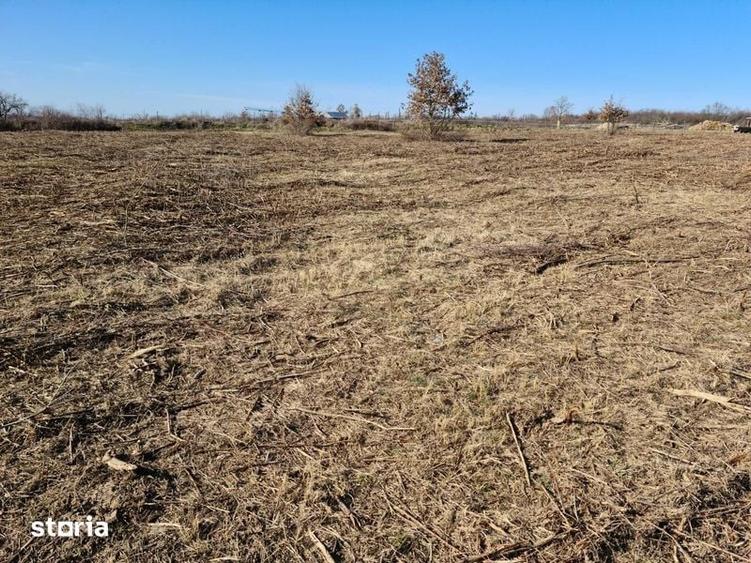 Teren de 1000 mp, în Viile Satu Mare