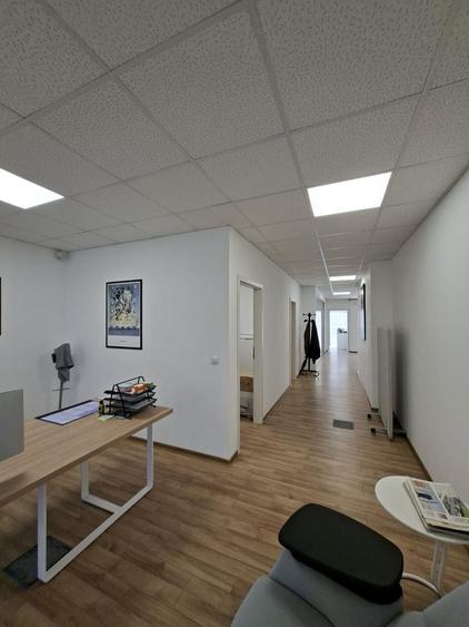 Birou, de 160.19000244141 mp, în Elisabetin