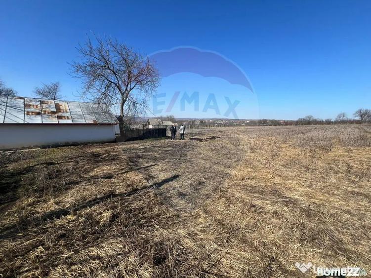 Casă cu 3 camere cu Teren 7000 Mp în Movilița