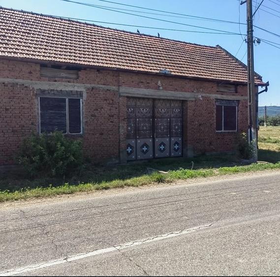 Casă cu 4 camere cu Teren 4113 Mp în Sacoșu Mare