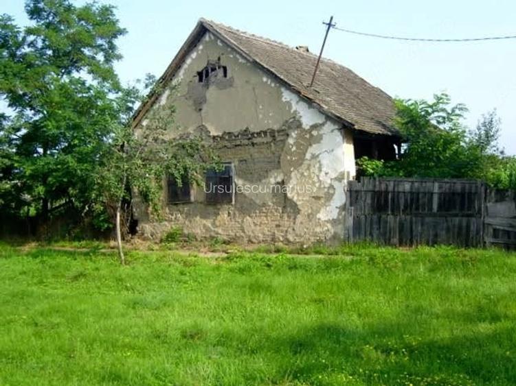 Vand casa cu teren si livada pomi fructiferi