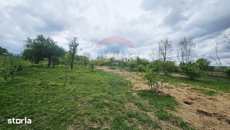 Teren de 5350 mp, în Dobreni