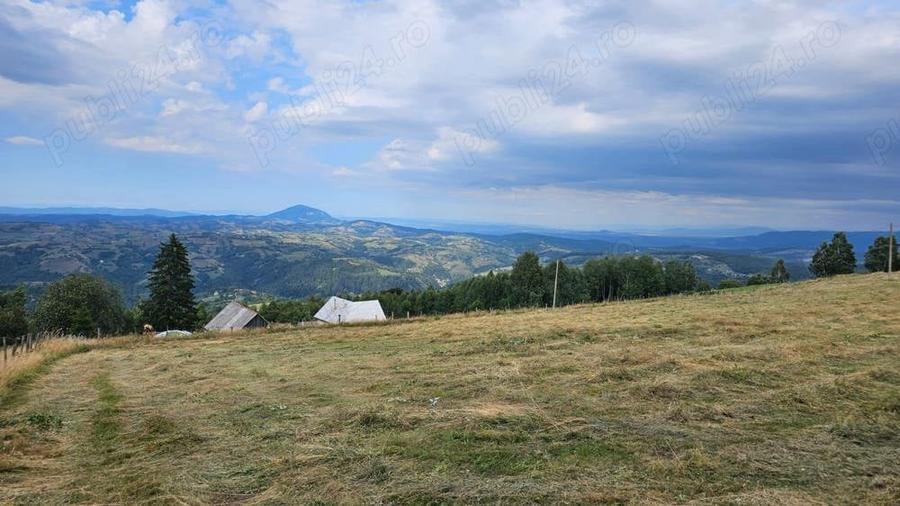 Teren în Poiana Mărului