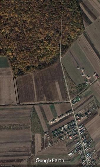 Teren agricol extravilan de 5000 mp, în Săbăreni