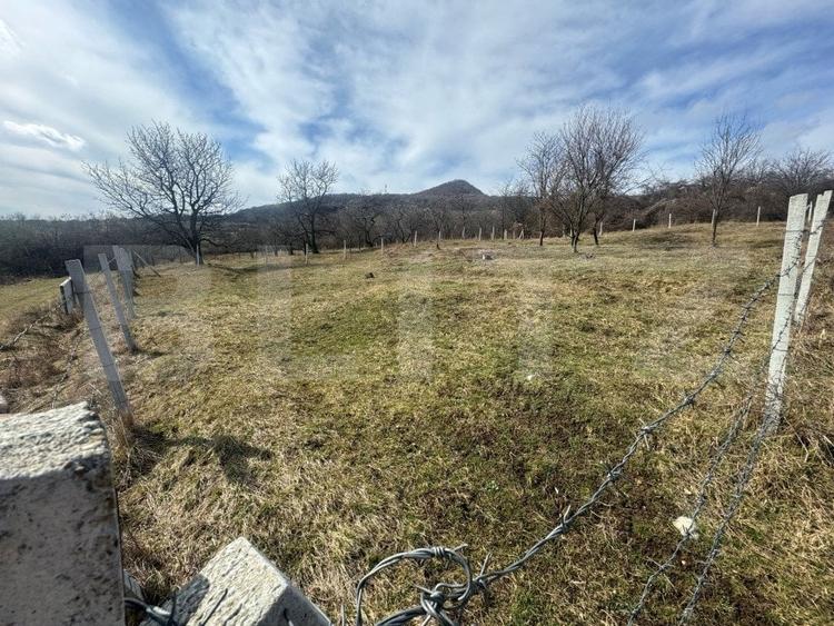 Teren agricol extravilan de 1000 mp, în Nord