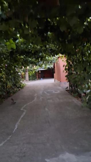 Casă cu 3 camere cu Teren 1390 Mp în Smeeni