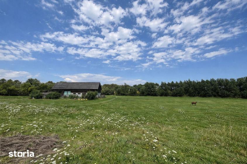 Teren de 3600 mp, în Horodnic