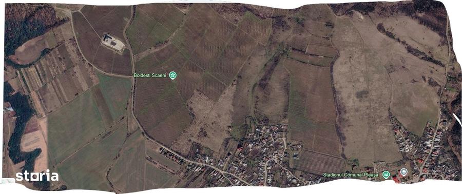 Teren de 153900 mp, în Boldești