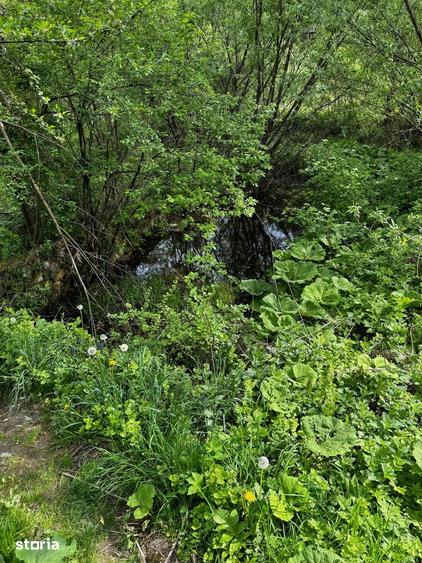 Terende vanzare 4.300 mp Brate?-Tarcau,Neam?-Poten?ial turistic - 11