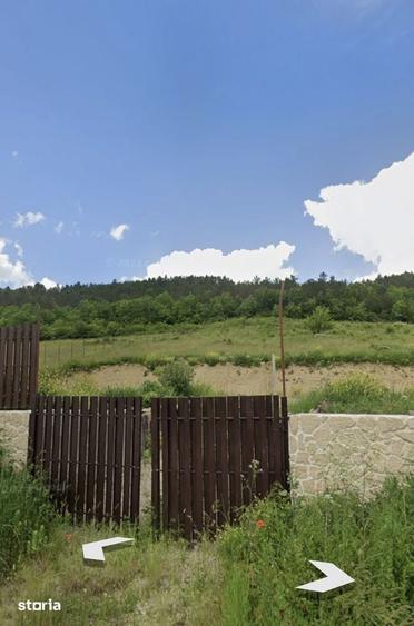 Teren de 5339 mp, în Dăbâca