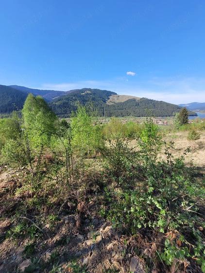 Teren de 5000 mp, în Ceahlău