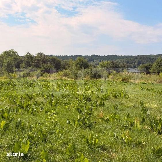 Teren de 3600 mp, în Central