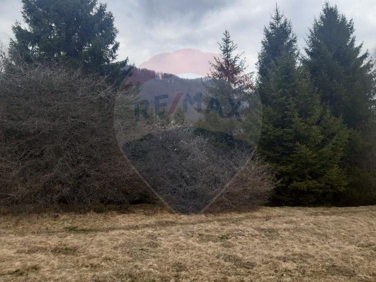 Teren agricol extravilan de 14250 mp, în Nord-Est