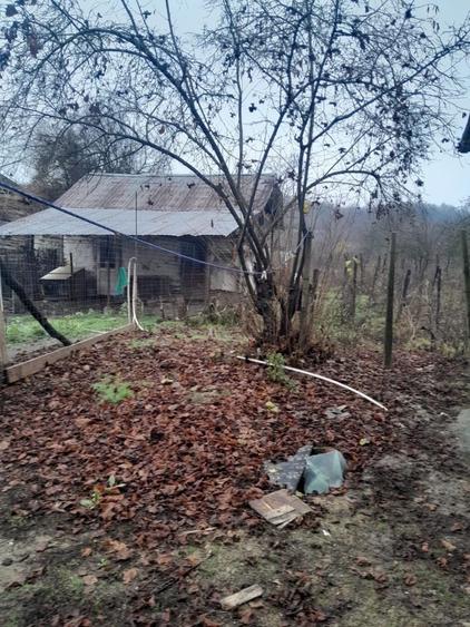 Casă cu 3 camere în Valea Cucului