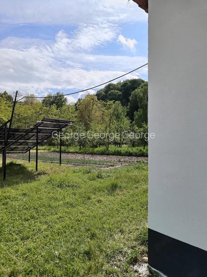 VAND CASA IN CAPU Piscului Godeni judetul Arges