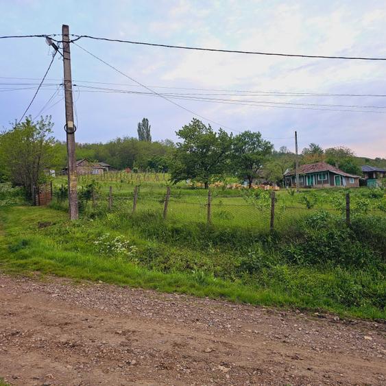 Casă cu 2 camere cu Teren 5000 Mp în Roșu