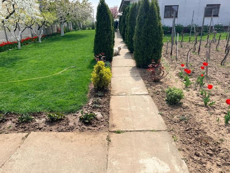 Teren Construcții intravilan de 400 mp, în Exterior Nord