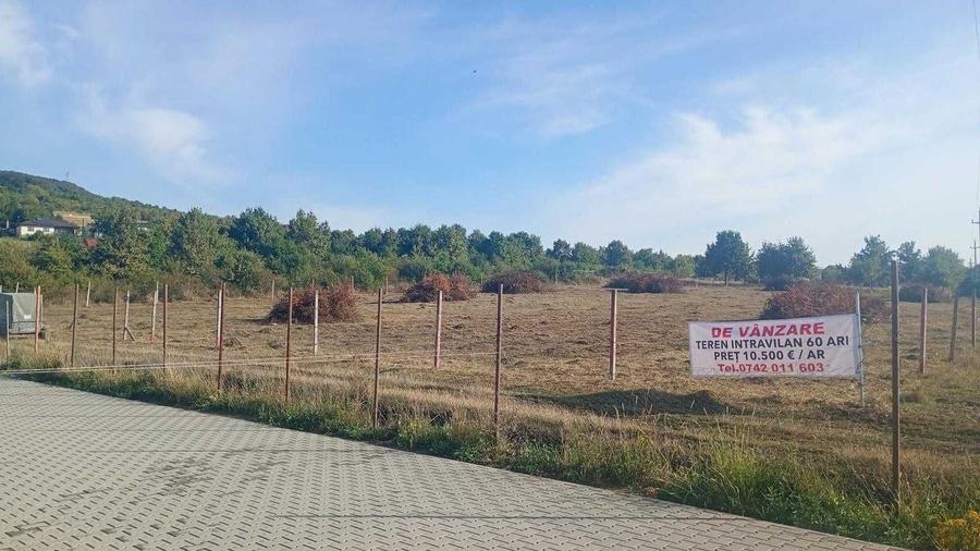 Teren de 6000 mp, în Exterior Vest