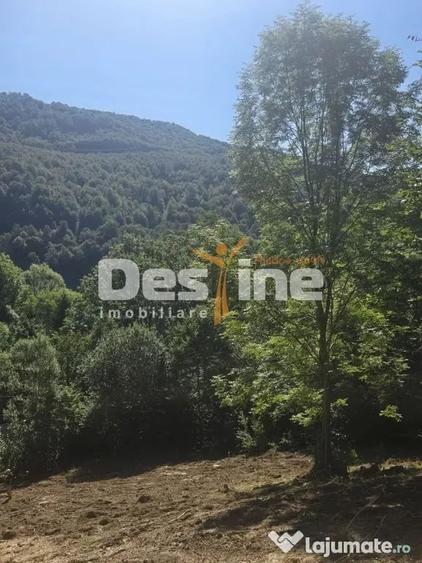 Teren în Teșila