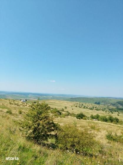 De vanzare 2 parcele de teren intravilan, Chinteni, pret unitar 10900 - 2