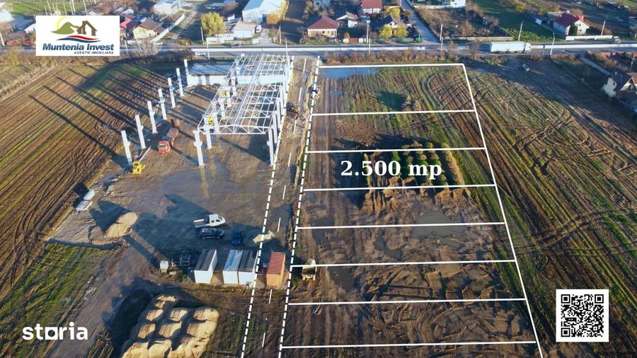 Teren de 2500 mp, în Mărăcineni