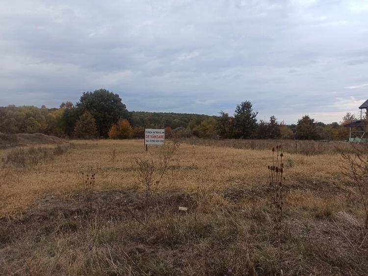 Teren Construcții intravilan de 750 mp, în Șelimbăr