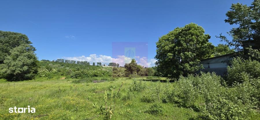 Teren intravila 40.679 mp in Campina, dezvoltare imobiliara - 3