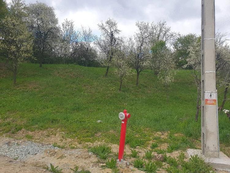 Teren de 1600 mp, în Groși