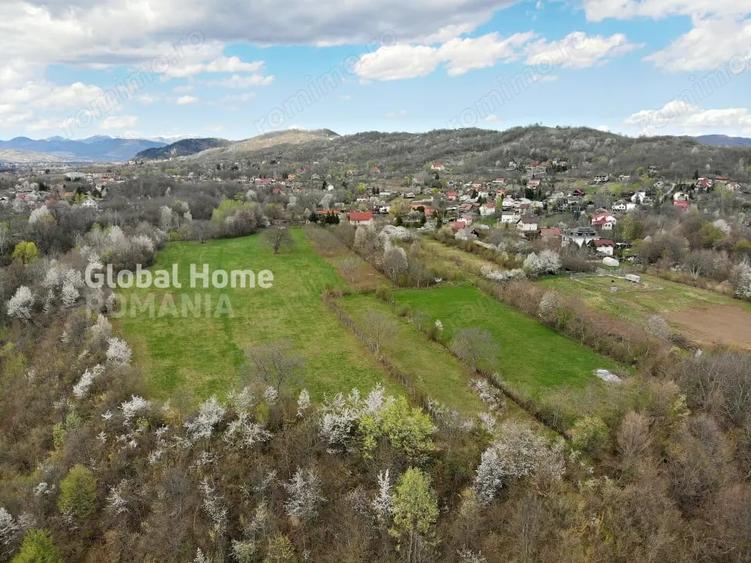 Mountain Plateau - 23.345 SQM - Exclusive Estate | Jud Prahova - Valea Prahovei - 8