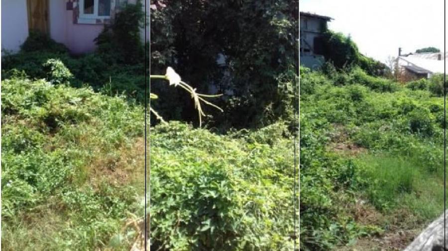 Casă individuală cu 2 camere cu Teren 564 Mp în Cocorăștii Colț