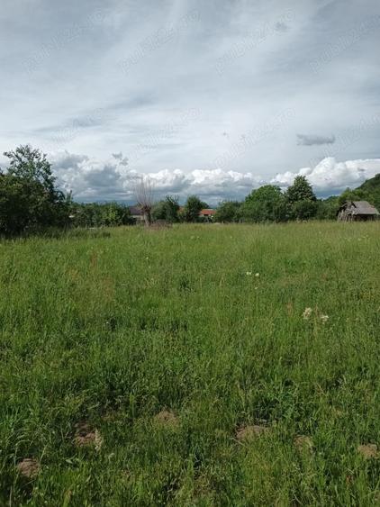Teren de 5000 mp, în Central