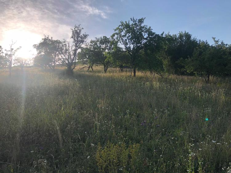 Teren de 2900 mp, în Dezmir