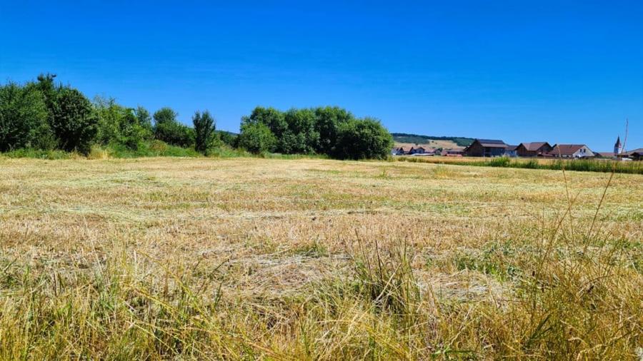Teren de 3750 mp, în Cristian