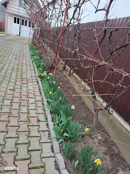 Casă cu 4 camere cu Teren 842 Mp în Central