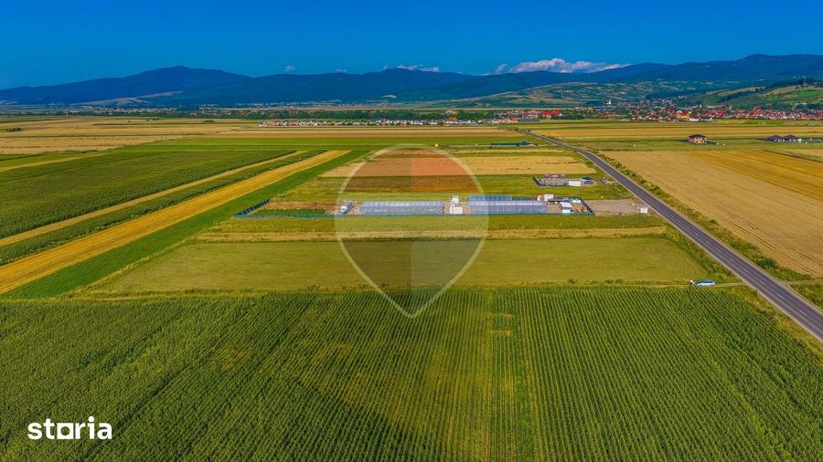 Teren de 7500 mp, în Tărlungeni