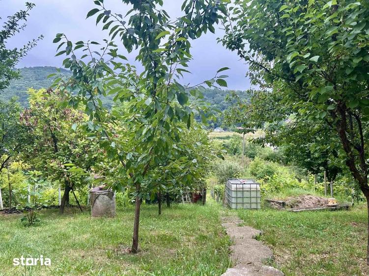 Casă cu 3 camere cu Teren 2200 Mp în Chicerea