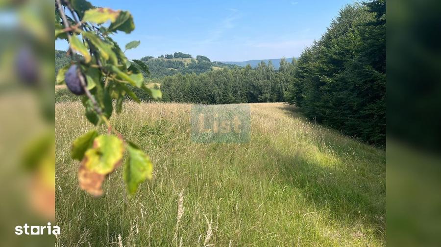 Teren cu poten?ial turistic, cadru natural rar, 20.000 mp Sacuieu - 5