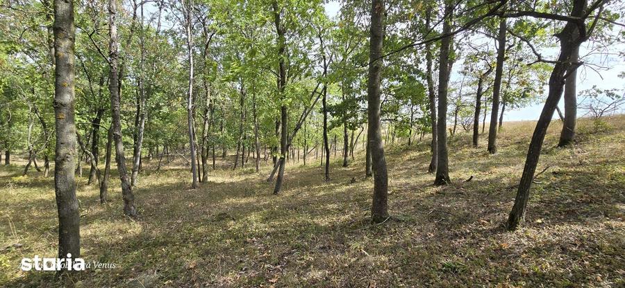 Teren de 4000 mp, în Mihai Eminescu