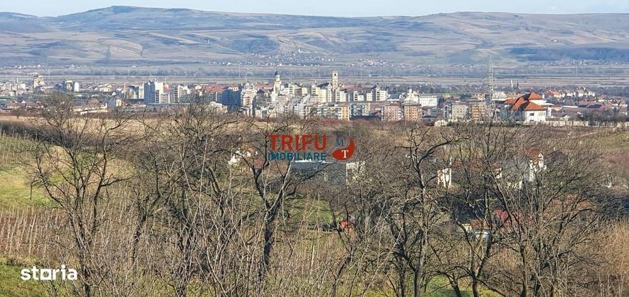 Spațiu comercial, în Central