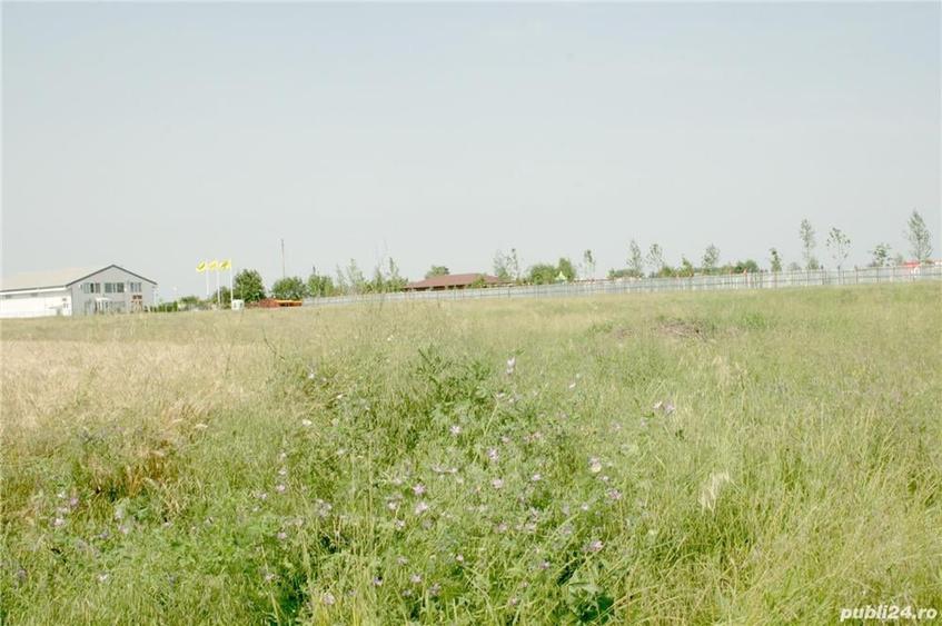 Teren de 8000 mp, în Otopeni