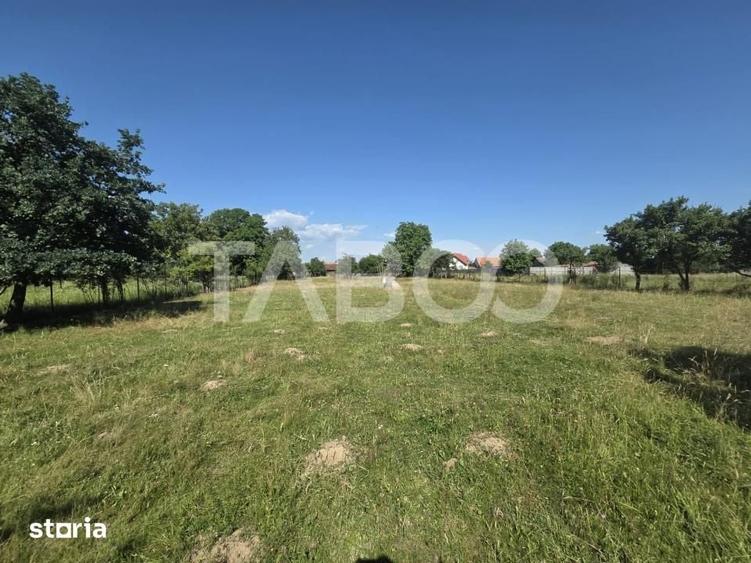 Teren intravilan 2000 mp si extravilan 1150 mp de vanzare in Vad - 4